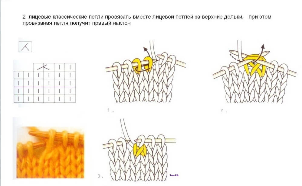 Жёлтый бактус