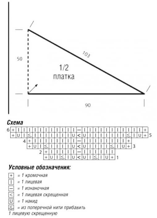 Пёстрый бактус для начинающих